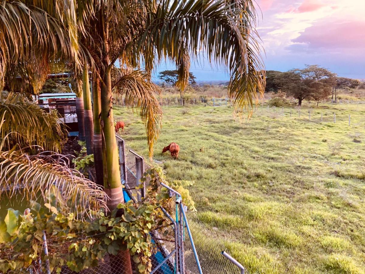 Villa Cristal Santa Elena  Exteriér fotografie
