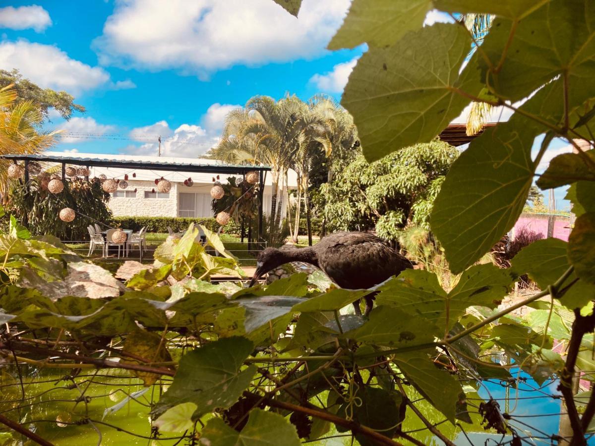 Villa Cristal Santa Elena  Exteriér fotografie